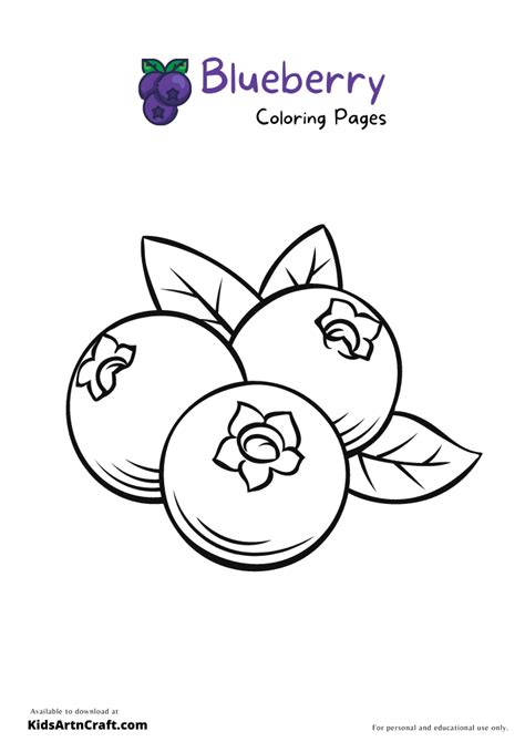 Coloring Pages Blueberries