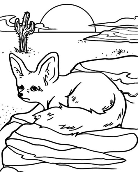 Coloring Pages Desert Animals