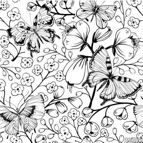 Coloring And Activity Book
