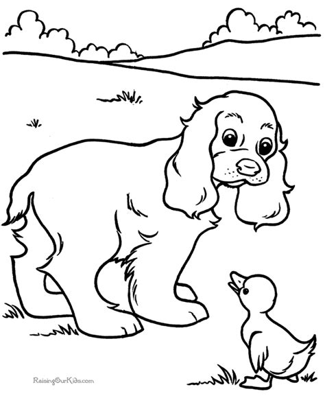 Coloring Page Of A Horse