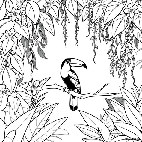 Coloring Pages For Rainforest Animals