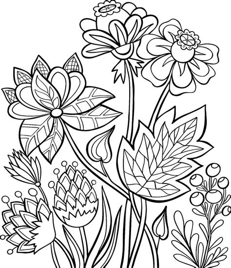 Coloring Pages Free Flowers