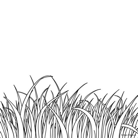 Coloring Pages Grass