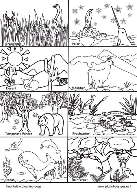 Printable Mexican Coloring Pages