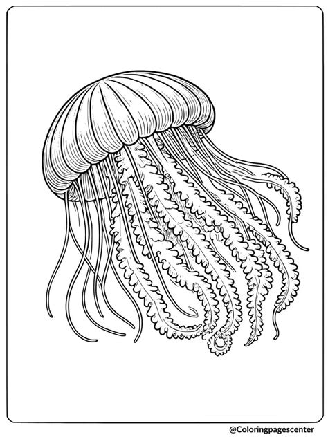 Coloring Pages Jellyfis