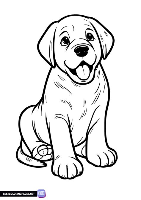 Moon And Stars Coloring Page