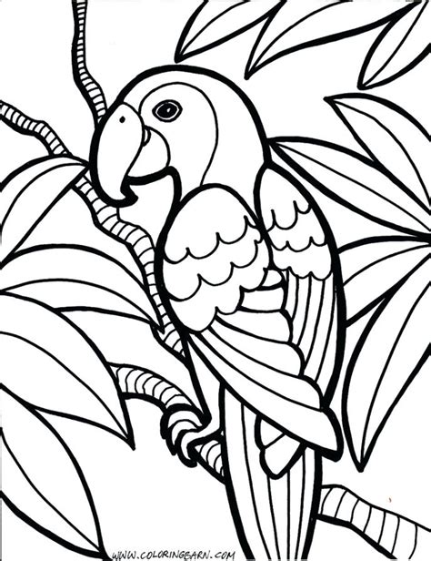 Marvel Coloring Book