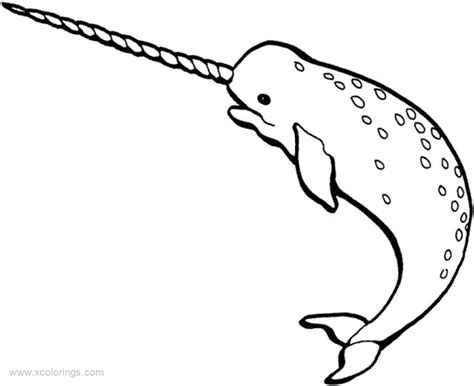 Coloring Pages Narwha