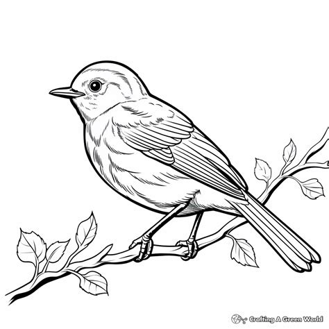 Spring Coloring Pages For Kindergarten