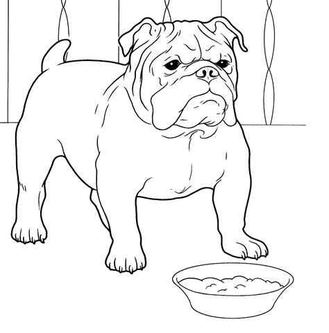 Coloring Pages Of Bulldog Puppies