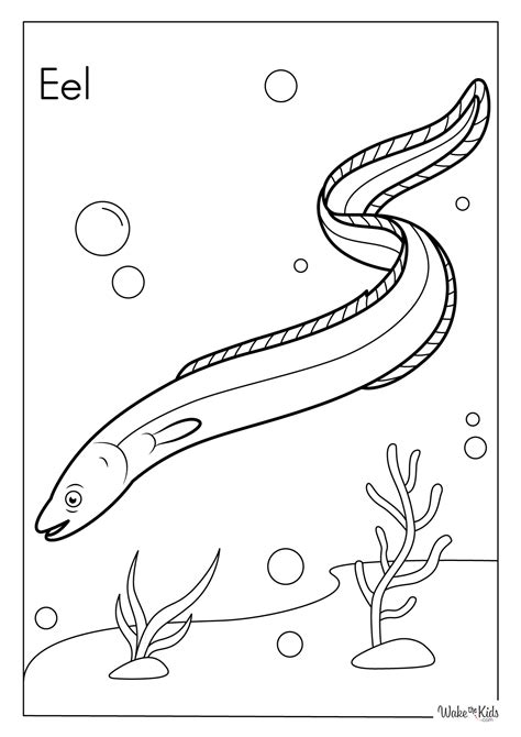 Coloring Pages Of Eels
