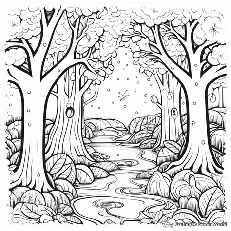 Coloring Pages Of Fores