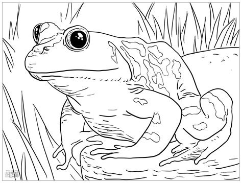 Coloring Pages Of Dora And Friends