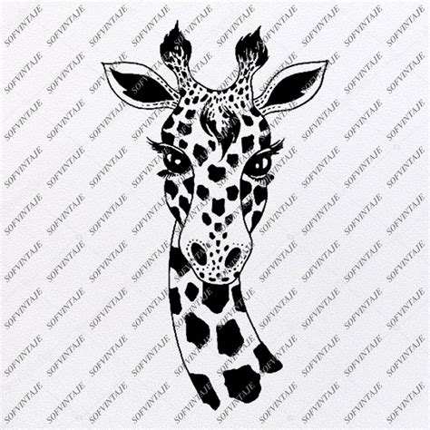 Coloring Pages Of Giraffes 182+ SVG File for Cricut