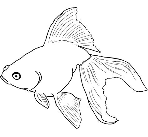 Gabby's Dollhouse Coloring Book