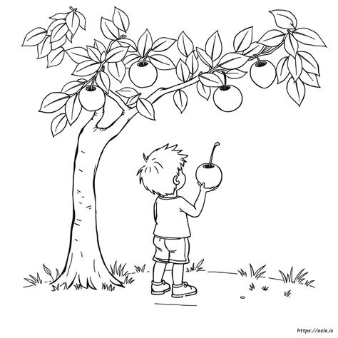 Coloring Pages Of Soi
