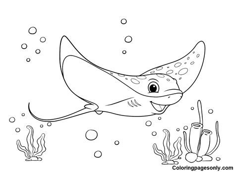 Peacock Coloring Page