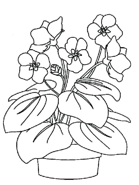 Publix Coloring Pages