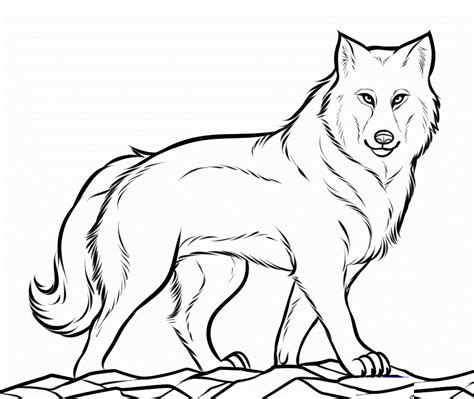 Coloring Pages Of Wolves Coloring Home