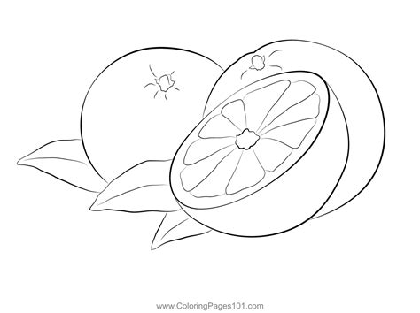 Coloring Pages Oranges Coloring Pages