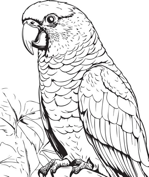 Bulldozer Coloring Page