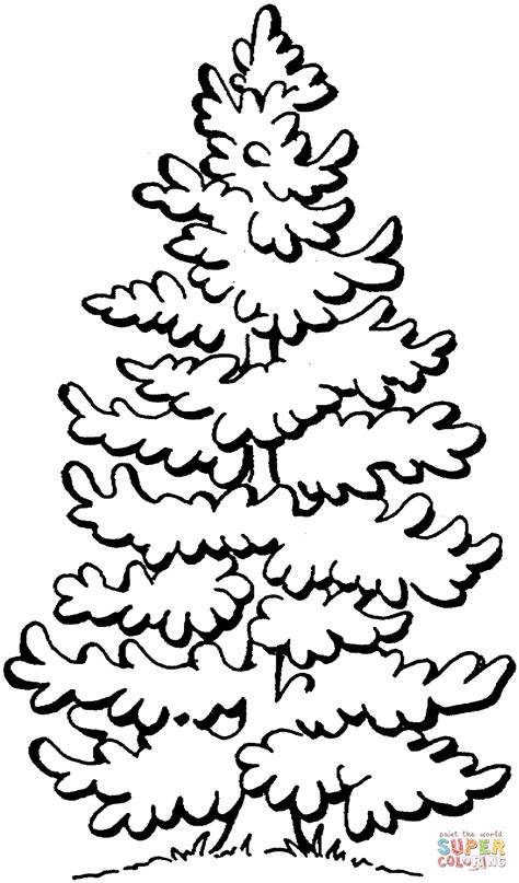 Coloring Pages Pine Tree Coloring Home