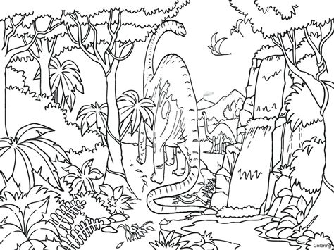 Coloring Pages Rainfores
