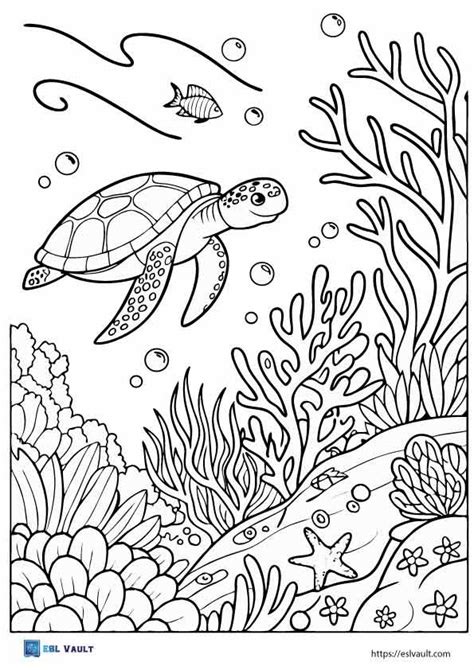 Coloring Pages Sea Turtle