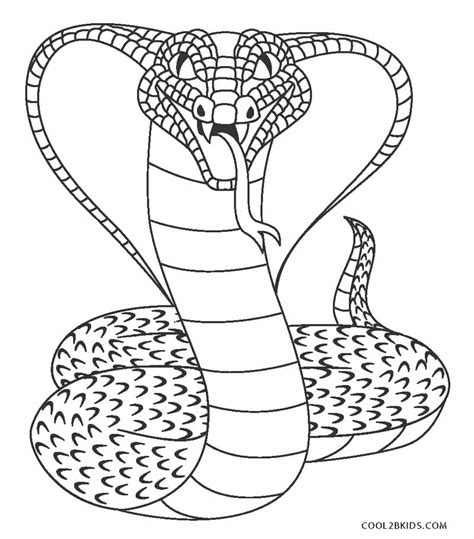 Olympic Medal Coloring Page