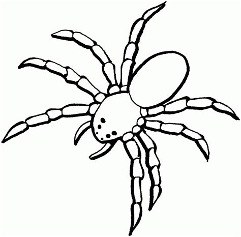 Coloring Pages Spider