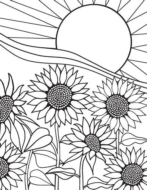 Coloring Pages Sunflowers