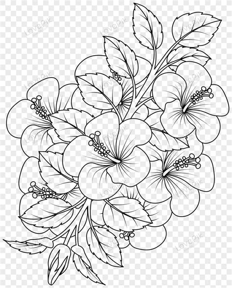 Coloring Pages Transparent Background