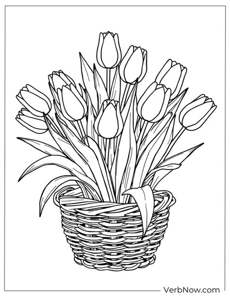 Coloring Pages Tulips