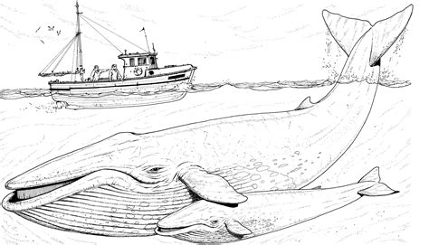 Hurricane Coloring Book