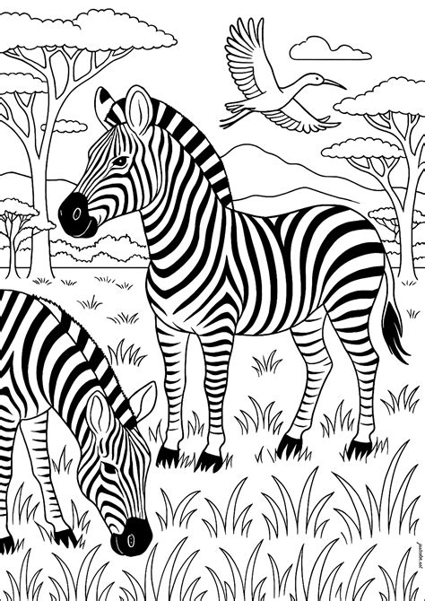 Dover Coloring Books