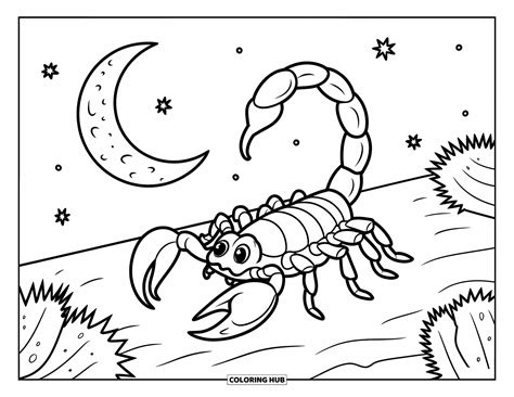 Coloring Pagr