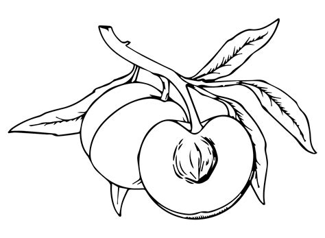 Coloring Peaches