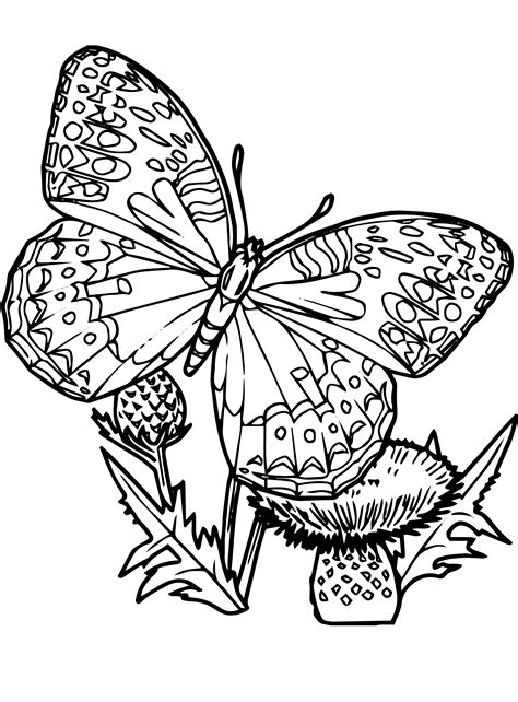 Coloring Pges