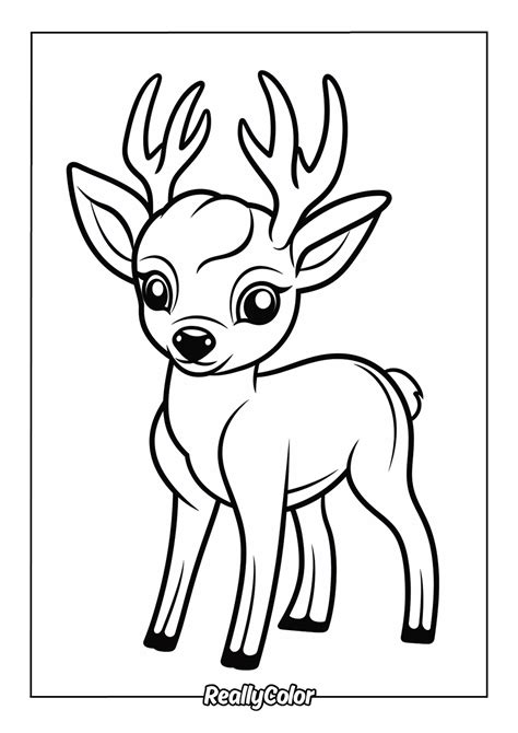 Bible Verse Coloring Books