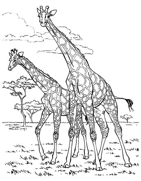 Dump Truck Printable Coloring Pages
