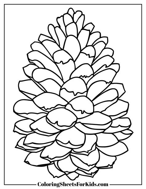 Coloring Pine Cones