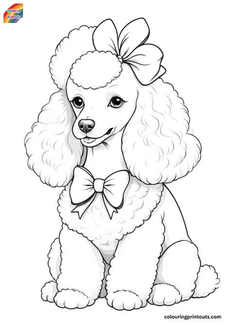 Coloring Poodles