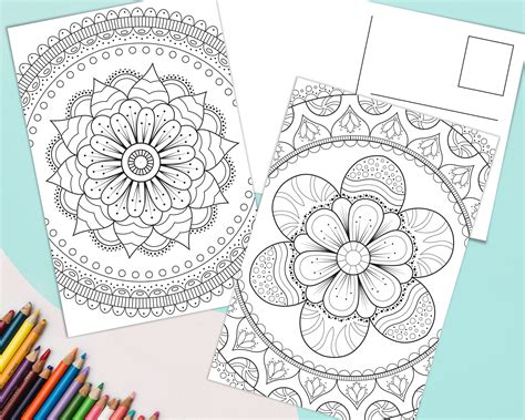 Coloring Pages Birds