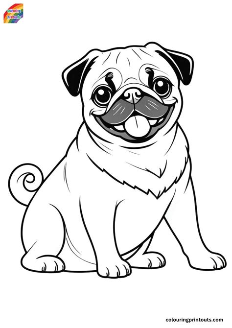 Coloring Pug