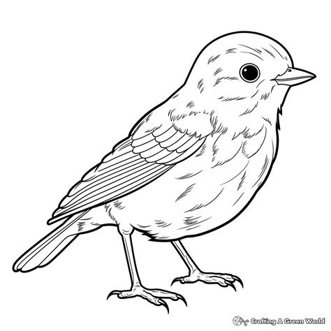 Coloring Robin