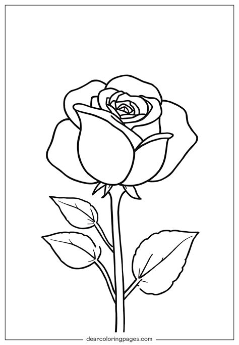 Coloring Rose