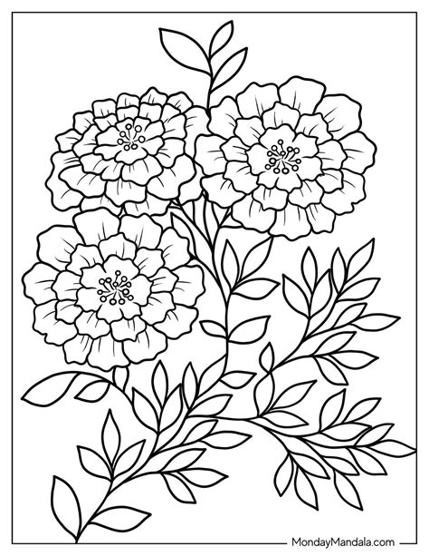 Coloring Sheet Flowers