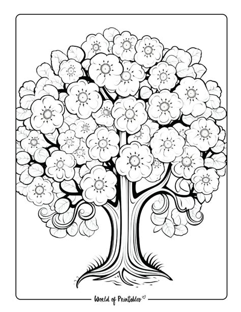 Apple Fruit Coloring Page