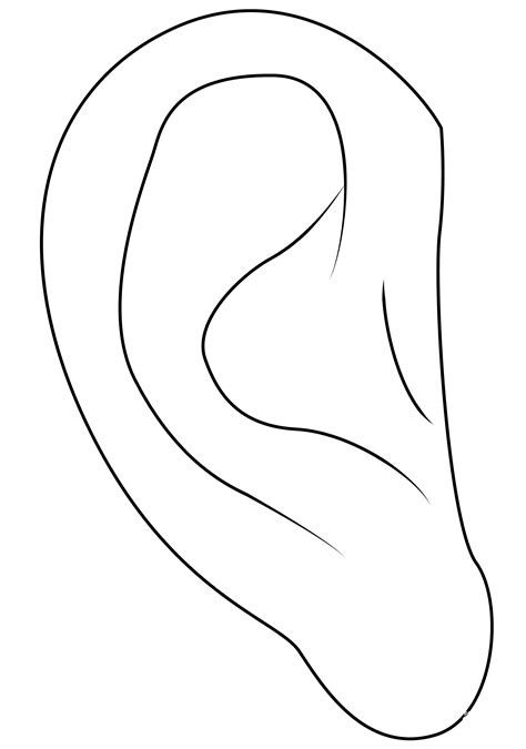 Coloring The Ear