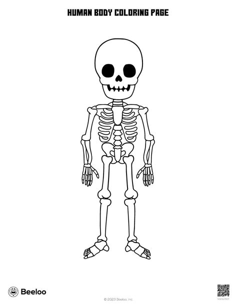 Coloring The Human Sku